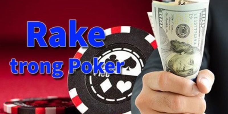 Tìm hiểu Rake trong Poker là gì cho người mới